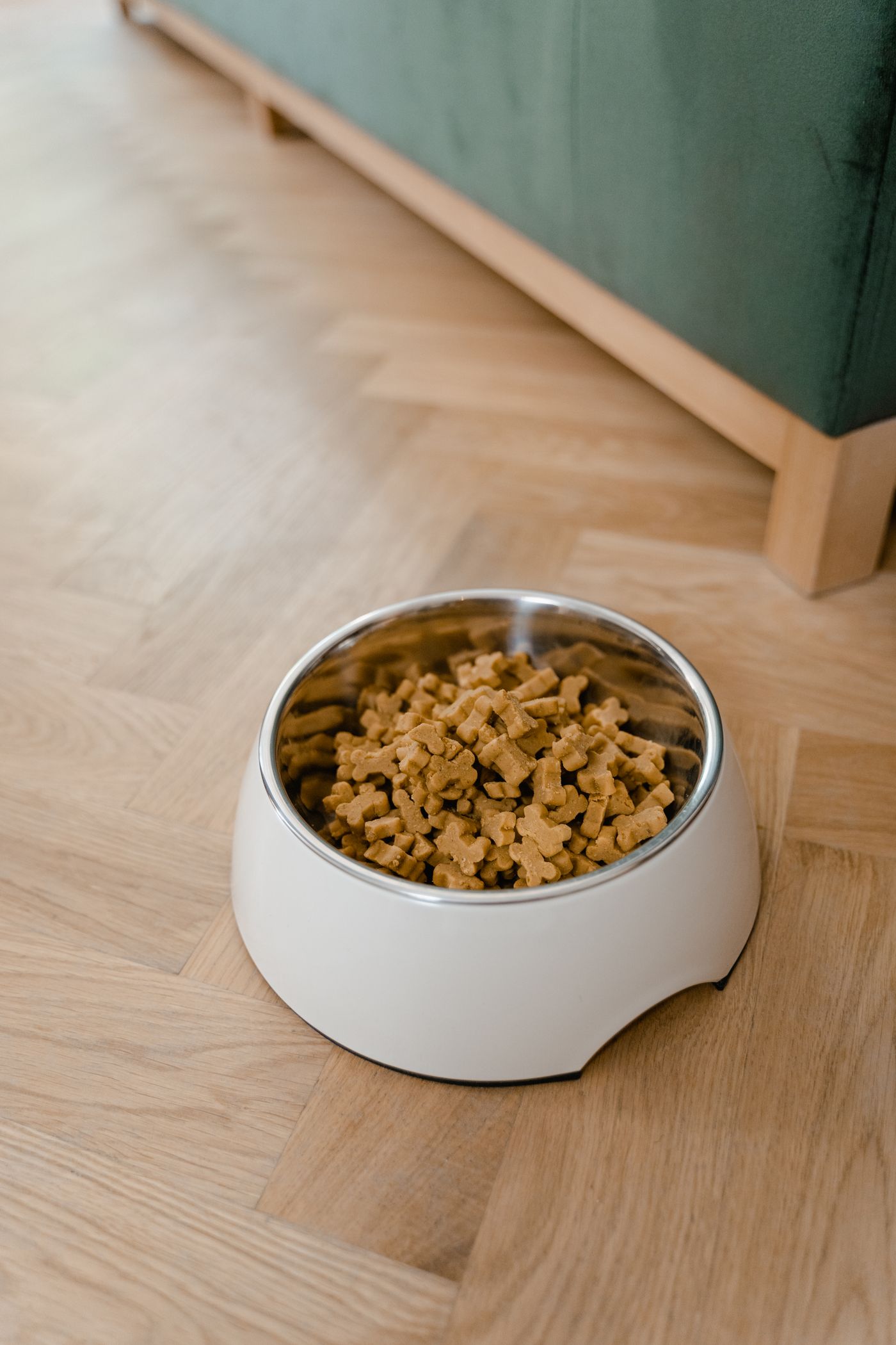 White bowl with dog food on a wood floor