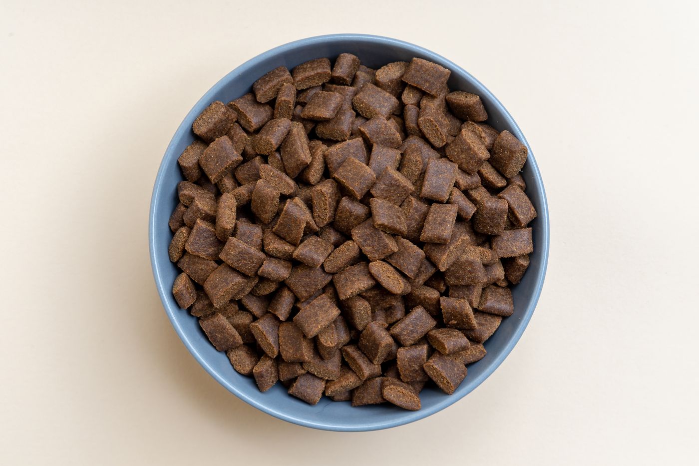 Dry dog food pieces in a blue bowl