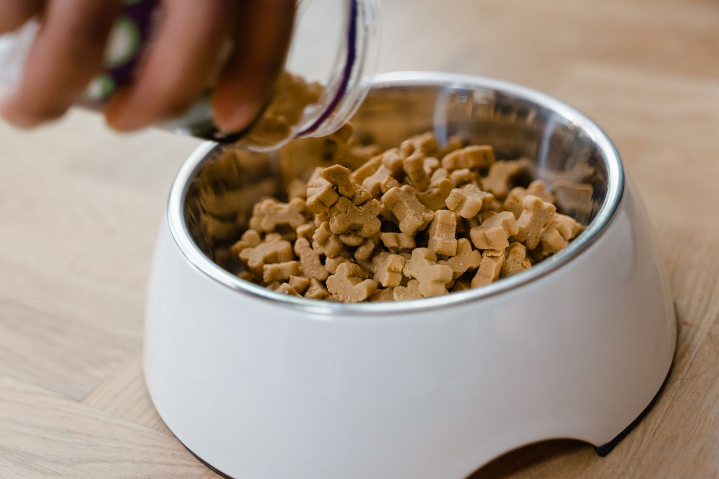 Hand adding dry dog food into a white bowl